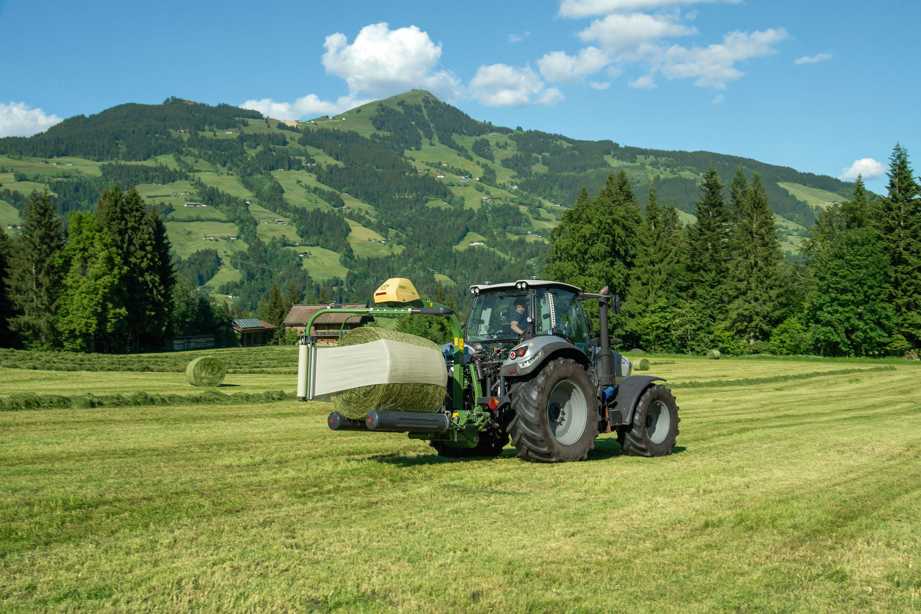 Die Qualität der Silage auf dem Prüfstand.jpg