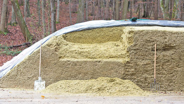 Die Qualität der Silage auf dem Prüfstand.jpg