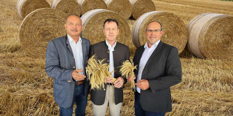 PK_Getreideerntebilanz 2024.jpg © Tesch-Wessely/LK Burgenland PK_Getreideerntebilanz 2024.jpg © Tesch-Wessely/LK Burgenland