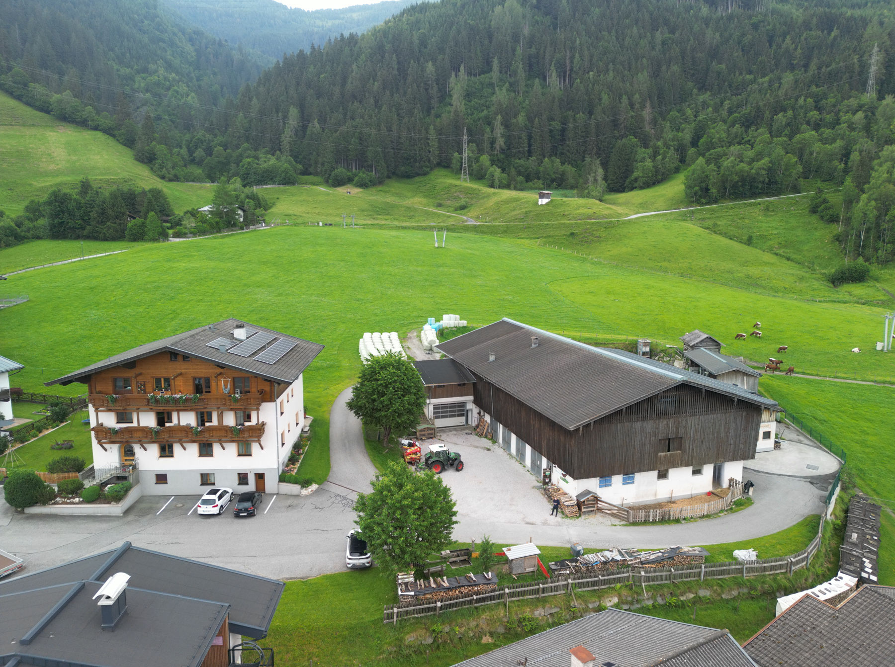 Dass die Kälber am Hof bleiben, ist unsere Philosophie: Oberlehen in Kaprun.jpg © Djuhic