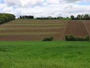 Acker.jpg © Paula Pöchlauer-Kozel, LK NÖ Acker.jpg © Paula Pöchlauer-Kozel, LK NÖ