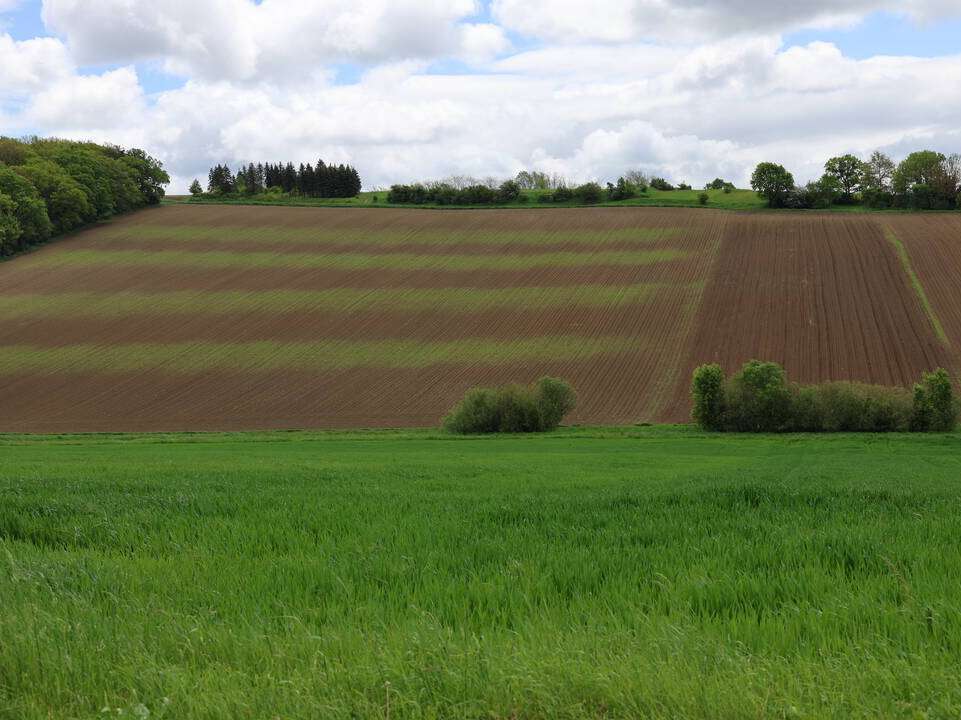 Acker.jpg © Paula Pöchlauer-Kozel, LK NÖ Acker.jpg © Paula Pöchlauer-Kozel, LK NÖ