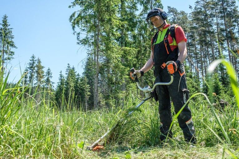 LFI-Farminar-Freischneider-Anwendung.jpg