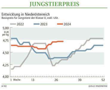 Grafik Stierpreis 30_2024.jpg © LK NÖ