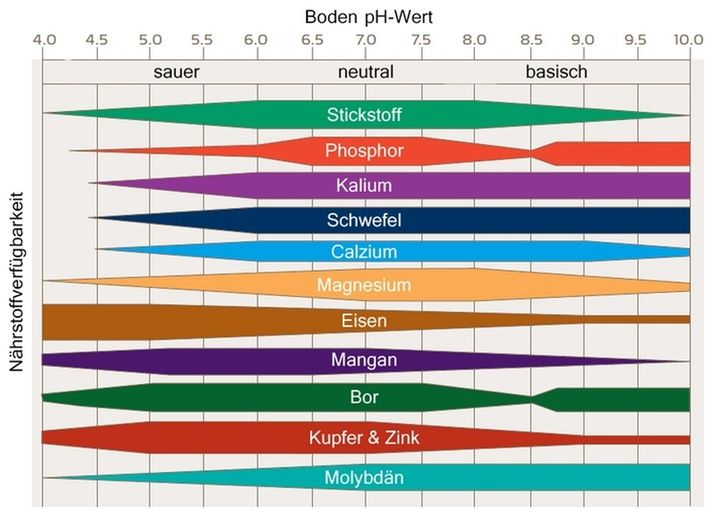 pH-Wert Nährstfoffverfügbarkeit höhere Qualität.jpg