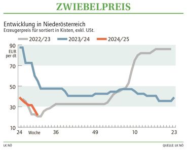 Grafik Zwiebelpreis 30_2024.jpg © LK NÖ