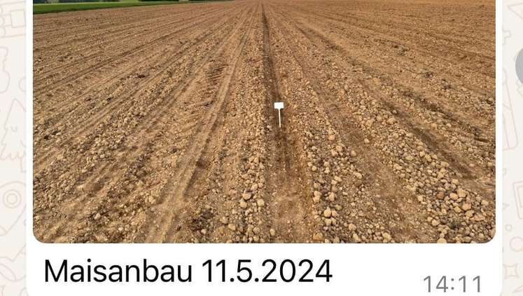 Chronologie des BIO Landeskörner Sortenversuches aus Eberstalzell