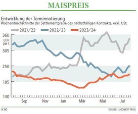 Grafik Maispreis 31 2024.jpg