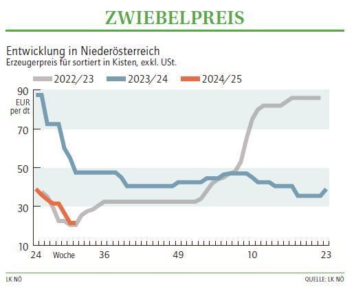 Grafik Zwiebelpreis 31_2024.jpg © LK NÖ