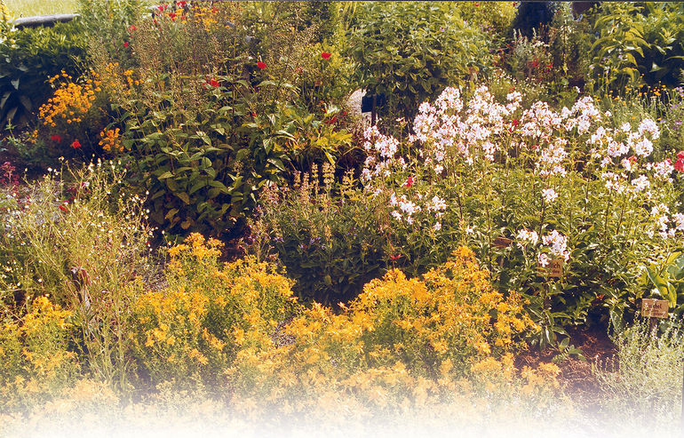 Kräutergarten.jpg © Standl Kräutergarten.jpg © Standl