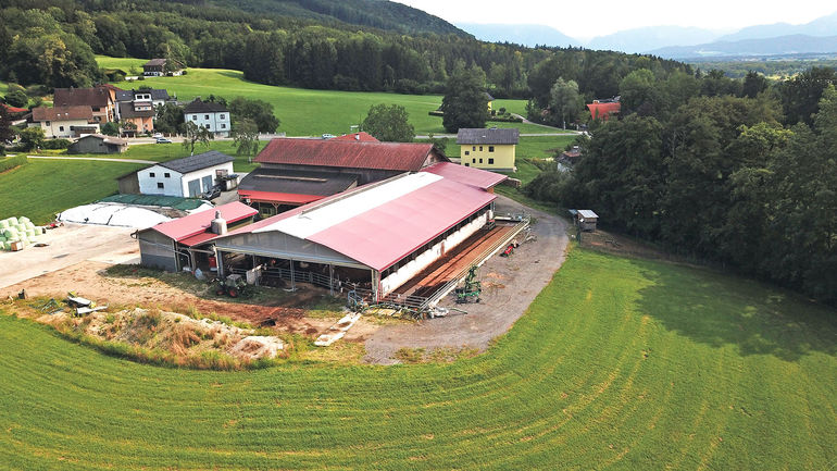 Dinkelspelzen als Fundament für hohen Kuhkomfort .jpg © Michael Hatheier