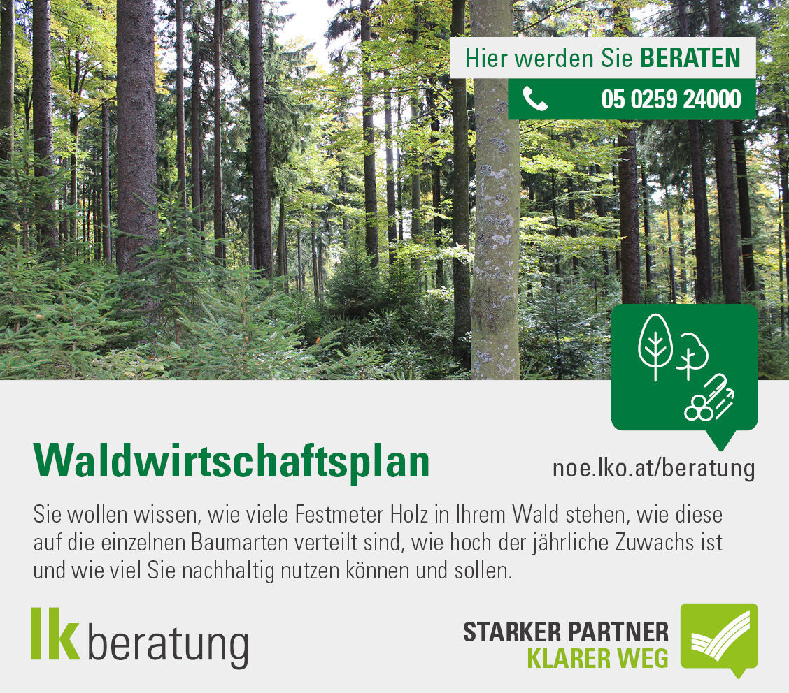 50201_Werbebanner_Waldwirtschaftsplan_2023.jpg © NÖ LK 50201_Werbebanner_Waldwirtschaftsplan_2023.jpg © NÖ LK
