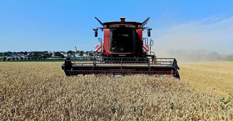 Die Versuche der Landwirtschaftskammern liefern  Entscheidungsgrundlagen für die Sortenwahl.jpg