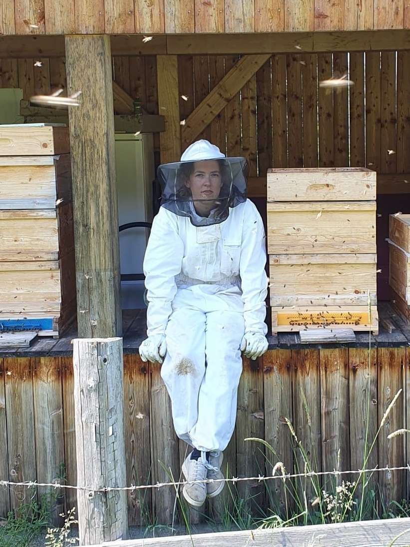 Petautschnig Bienen.jpg