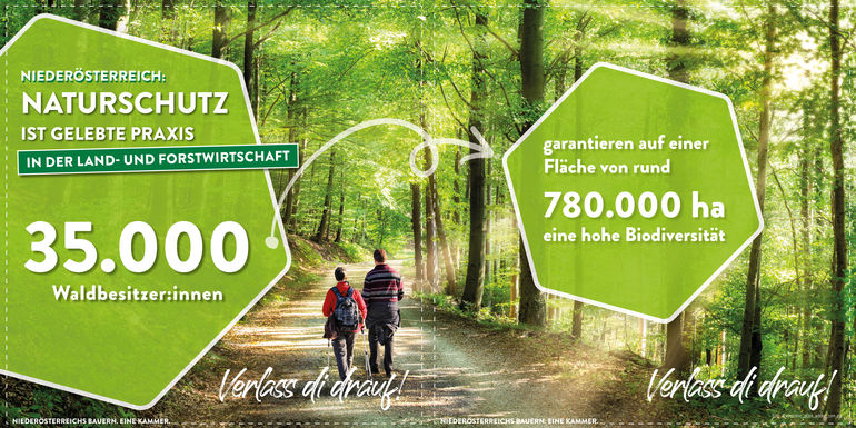Renaturierung_Wald.jpg © LK Niederösterreich Renaturierung_Wald.jpg © LK Niederösterreich