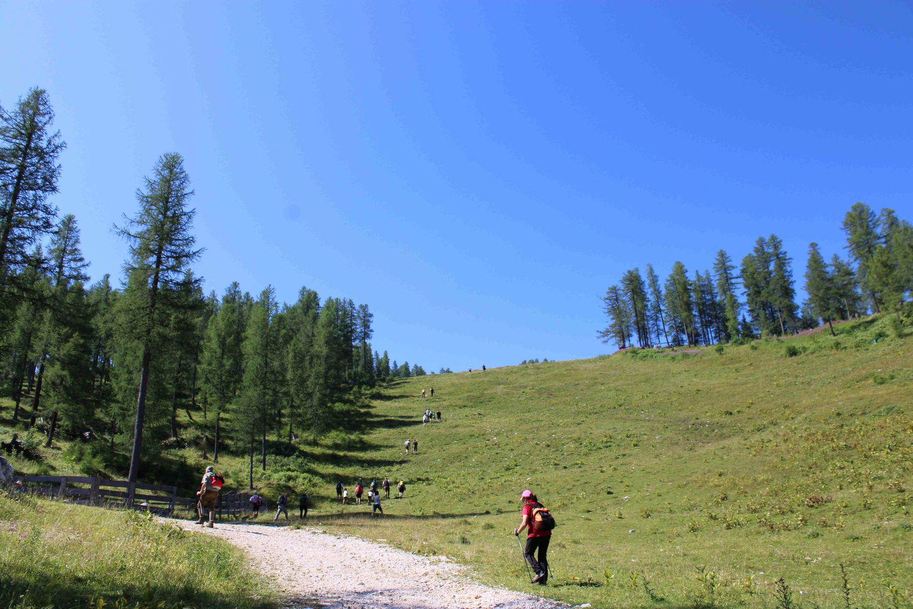 © Frießnegger/LK Kärnten