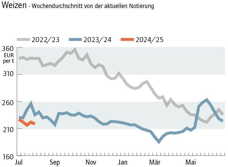 Grafik Weizenpreis 32/2024.jpg