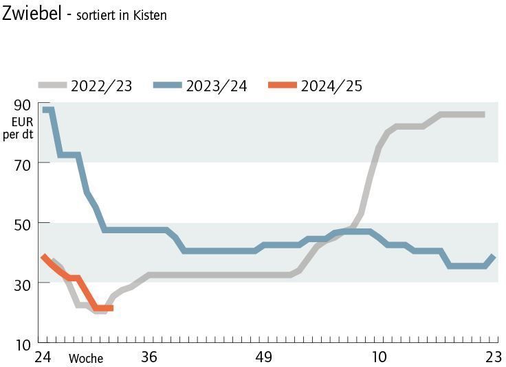 Grafik Zwiebelpreis 32 2024.jpg