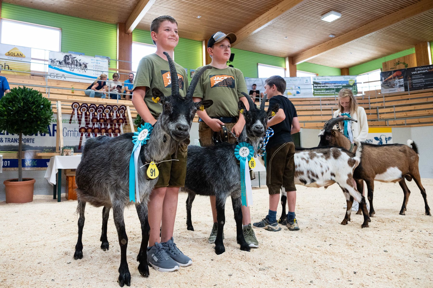 Steirische Ziegenschau 2024 in Traboch © Friedrich Baumann