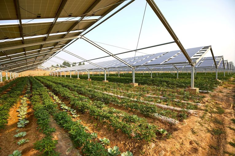 Photovoltaik.jpg © stock.adobe.com Photovoltaik.jpg © stock.adobe.com