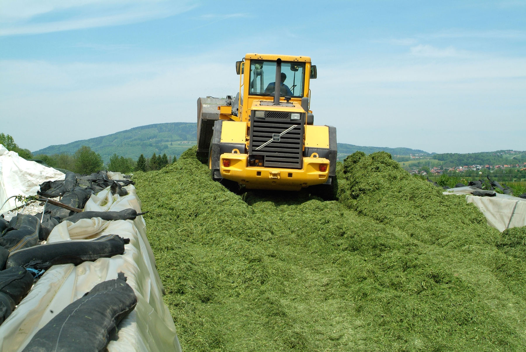 Futterleguminosen sind die  Stickstofffabrik..jpg © Dürnberger Futterleguminosen sind die  Stickstofffabrik..jpg © Dürnberger