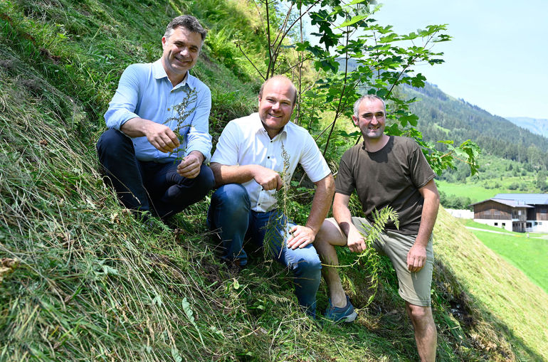 Teure Geräte und hoher Aufwand für die Mahd von Steilflächen .jpg © Dürnberger Teure Geräte und hoher Aufwand für die Mahd von Steilflächen .jpg © Dürnberger
