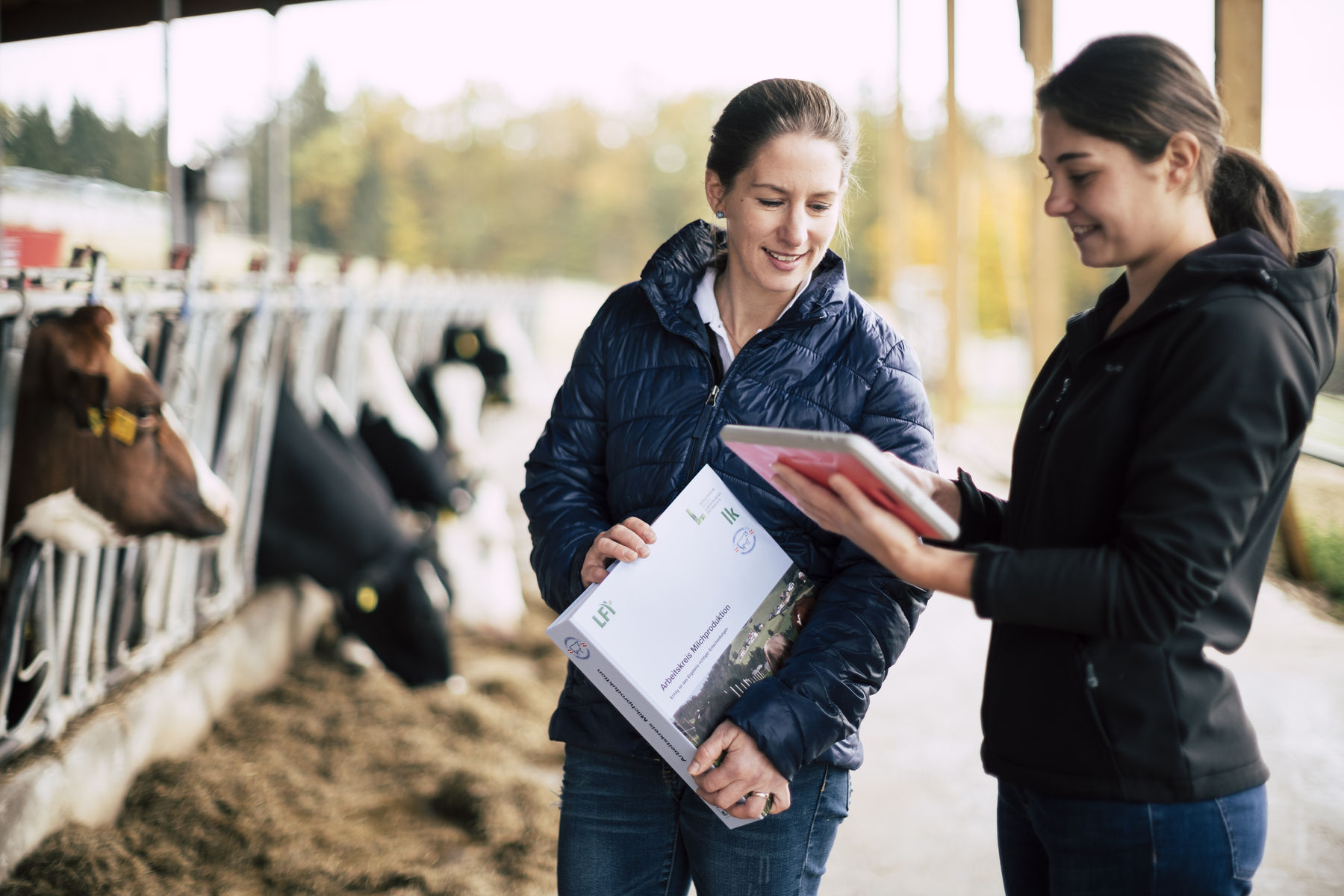 (c) bernhard bergmann-1163943.jpg © Bernhard Bergmann