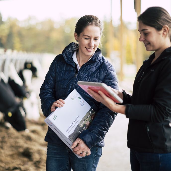 (c) bernhard bergmann-1163943 © Bernhard Bergmann