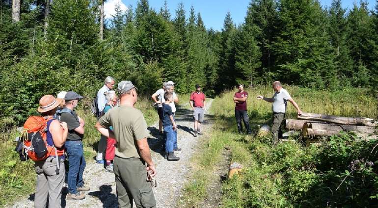 Führung durch den Wald © ÖBf-Archiv/E. Unterberger