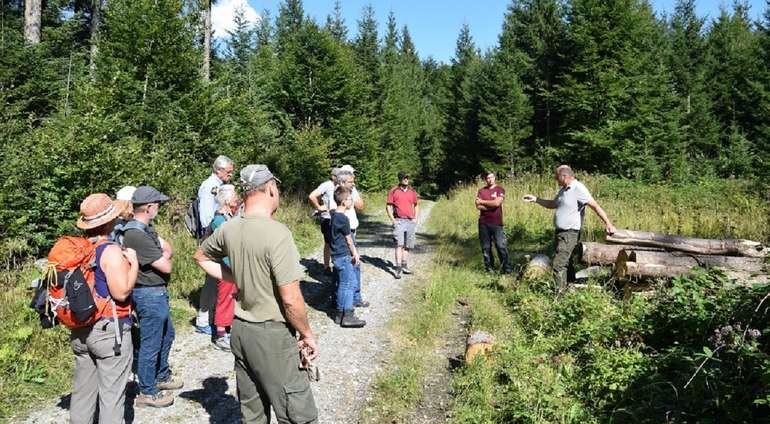 Führung durch den Wald © ÖBf-Archiv/E. Unterberger Führung durch den Wald © ÖBf-Archiv/E. Unterberger