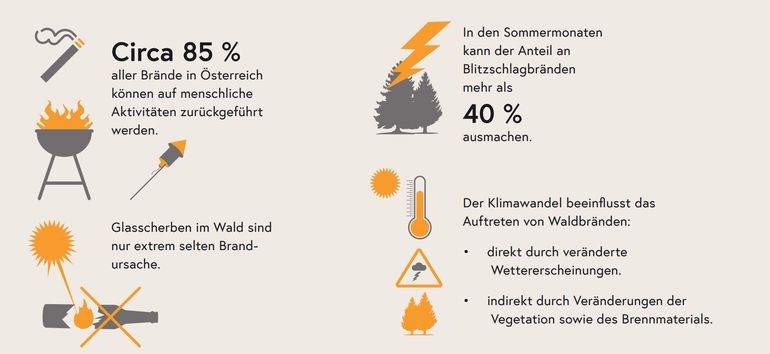 Waldbrände Totschnig Grafik BMLF.jpg