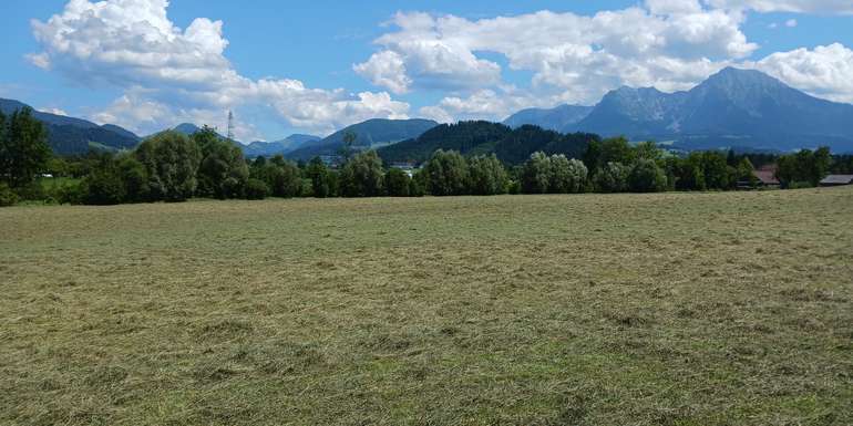 202408 Gemähte Wiese Landschaft Roßleithen LK OÖ Mandl.jpg