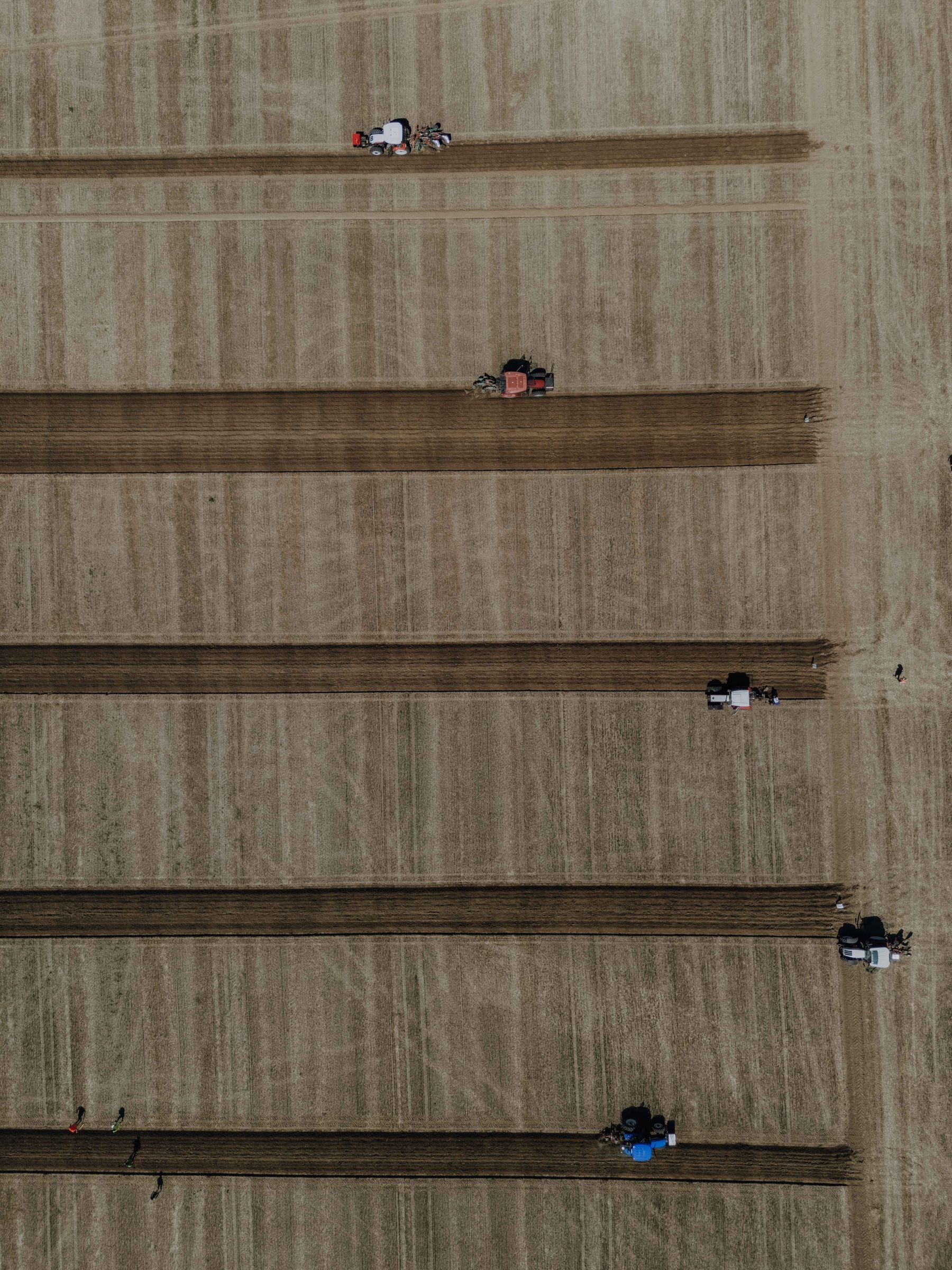 © Sophie Balber © Sophie Balber