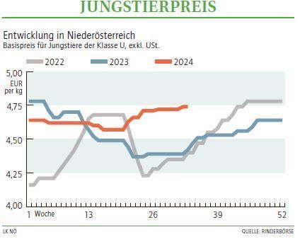 Grafik Stierpreis 33/2024.jpg