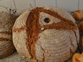 ZLG Brotsommelier © Eva Maria Lipp