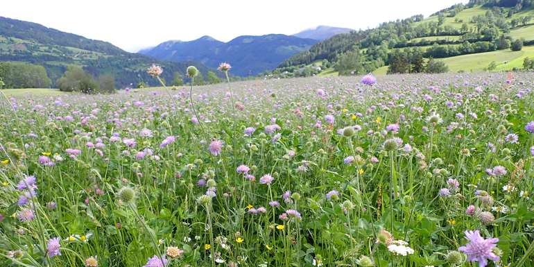 ÖPUL Weiterbildung © Wolfgang Angeringer