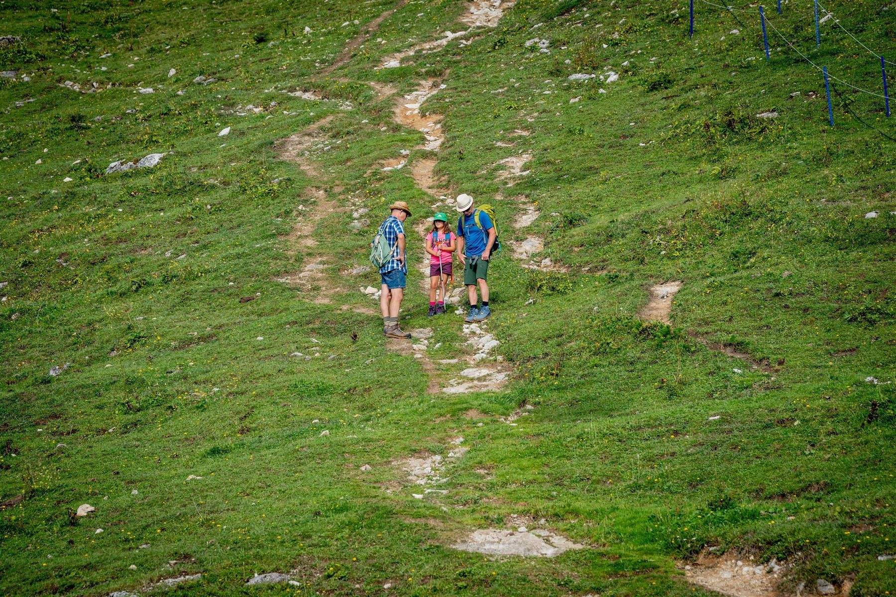 © Georg Pomaßl/LK Niederösterreich © Georg Pomaßl/LK Niederösterreich