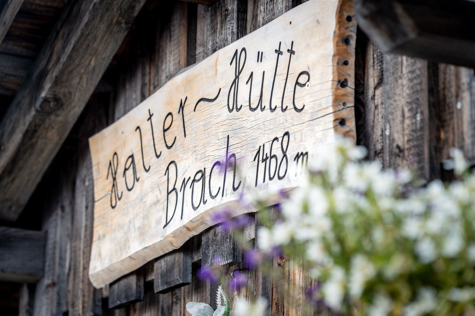 © Georg Pomaßl/LK Niederösterreich © Georg Pomaßl/LK Niederösterreich