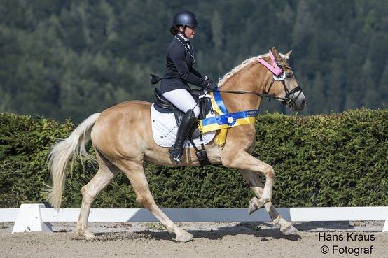 Siegerin 4- & 5-jährige Reitpferde: Doreen LPr v. Walzertraum PrH – Natural 
(Z.: Fam. Wimmer, St. Koloman; B.: Richard & Bernhard Hinteregger, Wienerbruck; R.: Carmen Hailing) © Hans Kraus