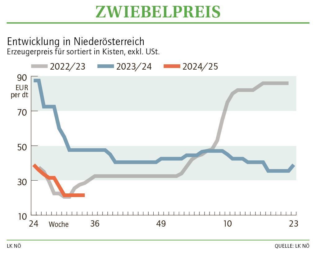 Grafik Zwiebelpreis 34 2024.jpg