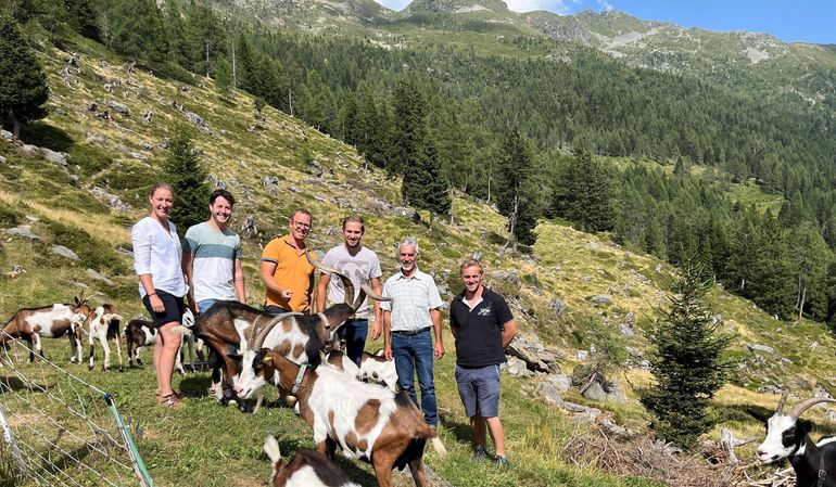 Ziegen Gruppenfoto.jpg