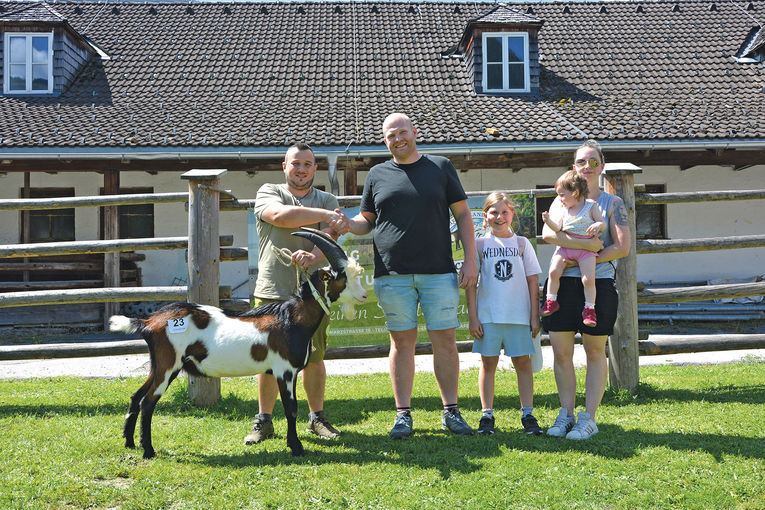 Hohes Angebot und Spitzenpreise bei allen Rassen.jpg © Landesverband für Schafe und Ziegen Hohes Angebot und Spitzenpreise bei allen Rassen.jpg © Landesverband für Schafe und Ziegen