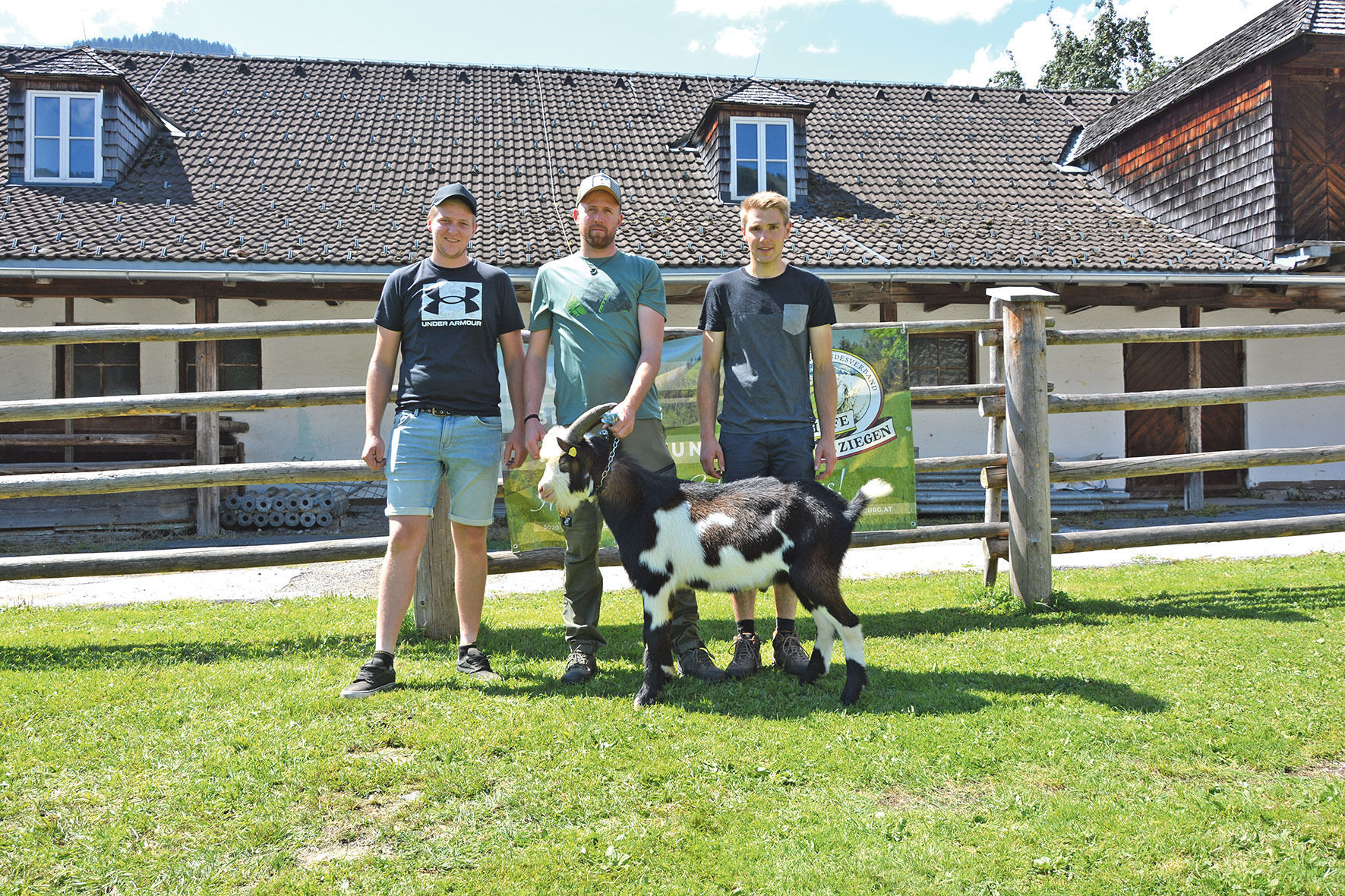 Hohes Angebot und Spitzenpreise bei allen Rassen.jpg © Landesverband für Schafe und Ziegen Hohes Angebot und Spitzenpreise bei allen Rassen.jpg © Landesverband für Schafe und Ziegen