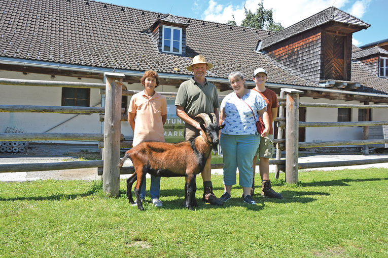 Hohes Angebot und Spitzenpreise bei allen Rassen.jpg © Landesverband für Schafe und Ziegen