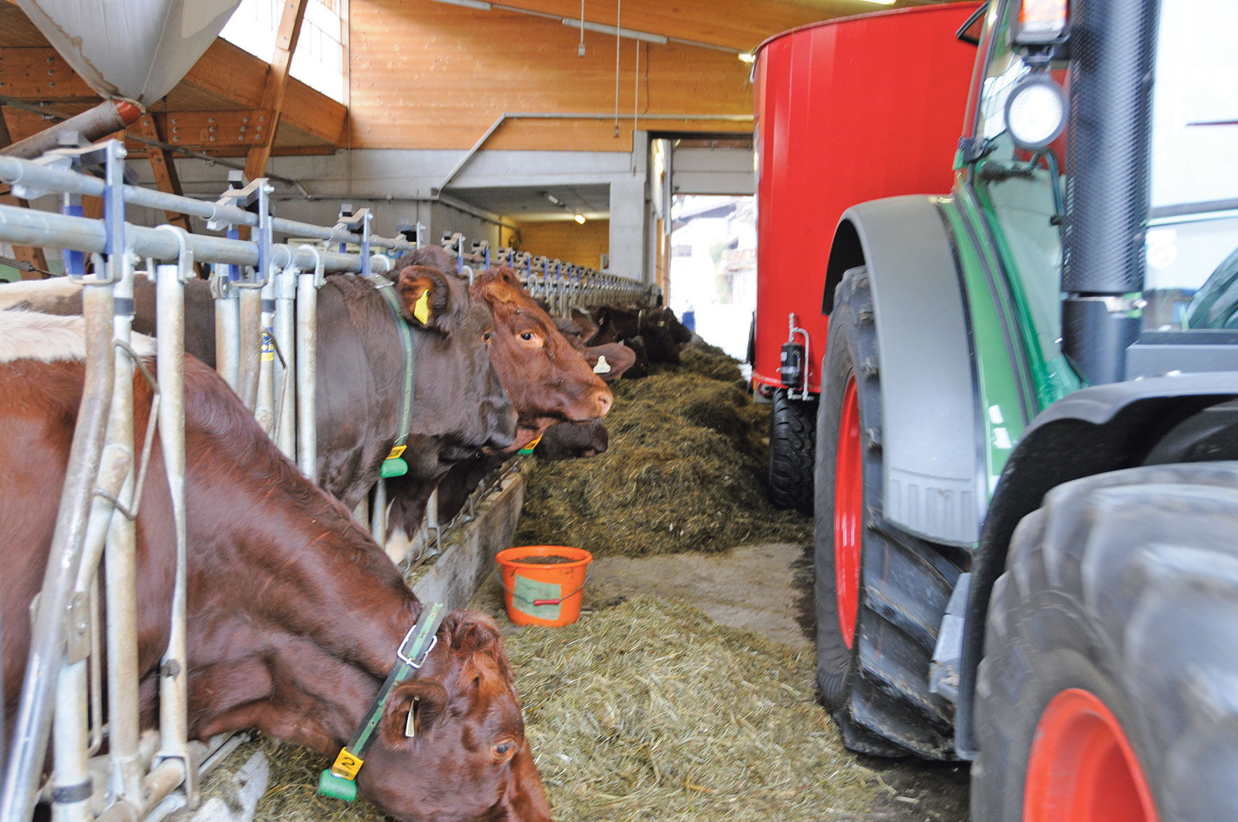 Das richtige  "Rezept" fürs Futtermischen.jpg