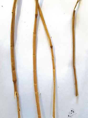 Das richtige   Rezept  fürs Futtermischen.jpg © Lindner Das richtige   Rezept  fürs Futtermischen.jpg © Lindner