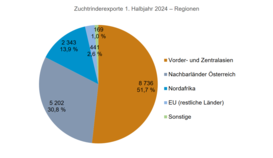 Zuchtrinderexporte 1. HJ 2024.png