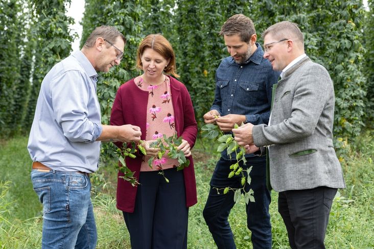 Land OÖ Pressefahrt Langer-Weninger Hopfenland OÖ 2 Land OÖ Haag.jpg