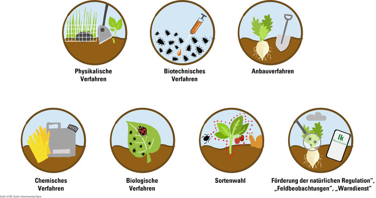 20.16-20.30 Sieben runde Bilder zu Pflanzenschutzmaßnahmen.jpg © LK Niederösterreich 20.16-20.30 Sieben runde Bilder zu Pflanzenschutzmaßnahmen.jpg © LK Niederösterreich