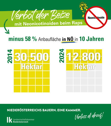 7.06-7.25 Raps_Neonicotinoide.jpg © LK Niederösterreich 7.06-7.25 Raps_Neonicotinoide.jpg © LK Niederösterreich